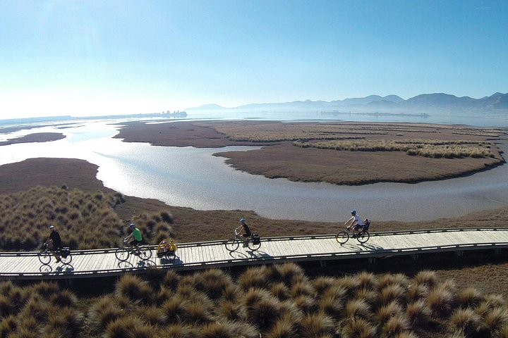 Coastal Boardwalk to Mapua